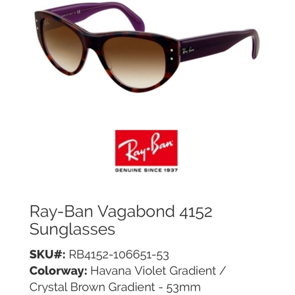 Ray-Ban Vagabond Sunglasses - Picture 6 of 15